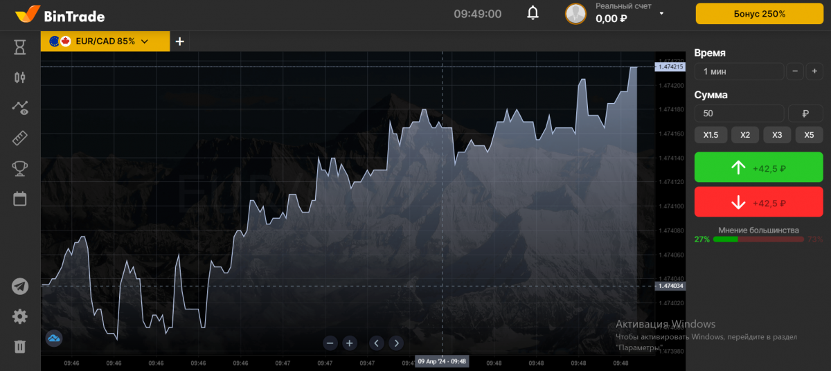 Web терминал Bintradeclub